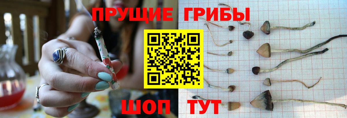 Псилоцибиновые грибы мухоморы Красноперекопск